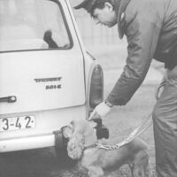 Rauschgiftfahndung - Auf "Stoffsuche" ist Hundeführer Zollobersekretär Bernd Schäfer mit seinem Cockerspaniel Jessy am Grenzübergang Heinrich-Heine-Strasse. Bisher ging es nur um den Schutz der DDR-Bürger vor Rauschgift von außen.