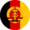 Emblem der Landstreitkräfte der Nationalen Volksarmee, das an beiden Seitentüren von NVA-Fahrzeugen angebracht wurde.
